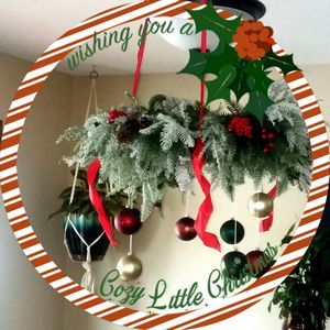 Meet your Posher, Joni